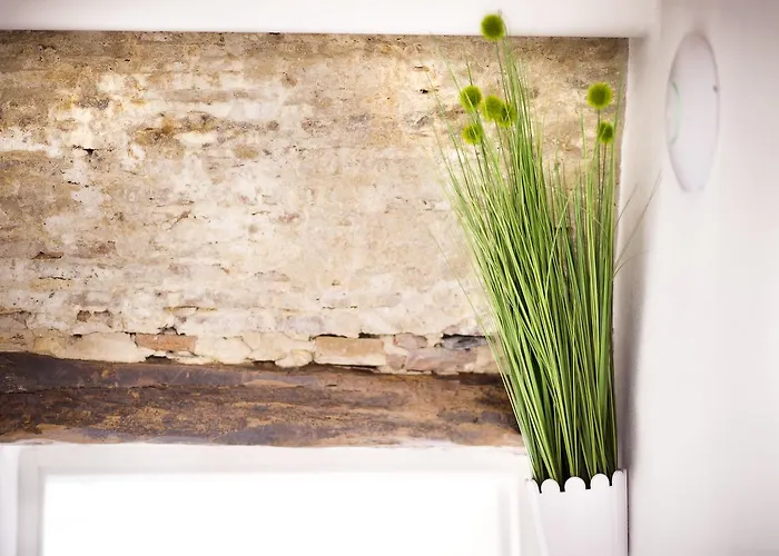 Frühstückspension Bianca Dimora 3*