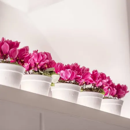 Bianca Dimora 3* Cagliari