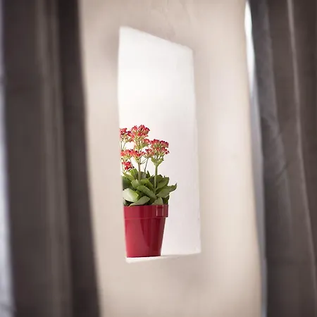 Bianca Dimora 住宿加早餐酒店 卡利亚里